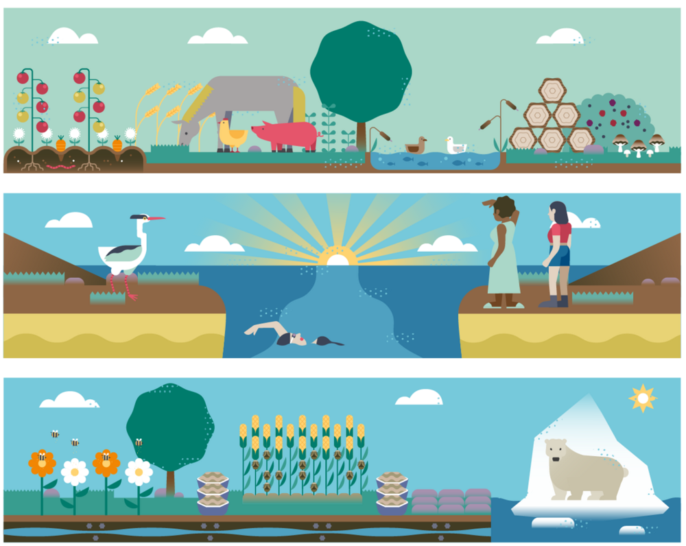 The three domains of ecosystem services.